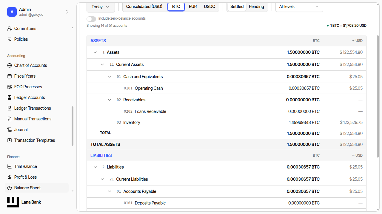 Balance sheet BTC currency